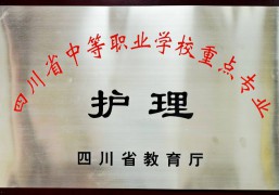 四川省中等職業(yè)學(xué)校重點專業(yè)——護理